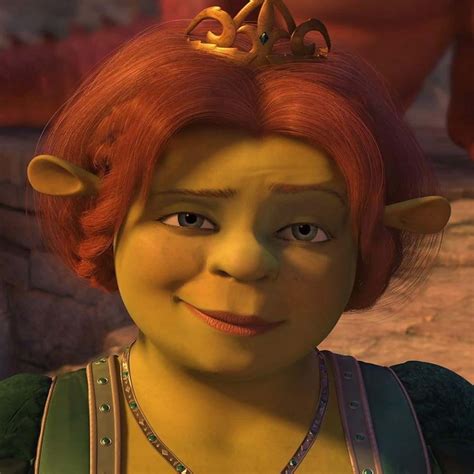 shrek vrouw|The 10 Best Female Shrek Characters